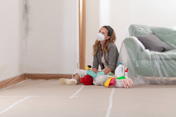 Reliable Commercial Mold Remediation contractor in Bloomington, MD by WQB Mold Removal